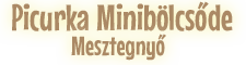Picurka Minibölcsőde, Mesztegnyő